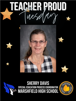 Sherry Davis